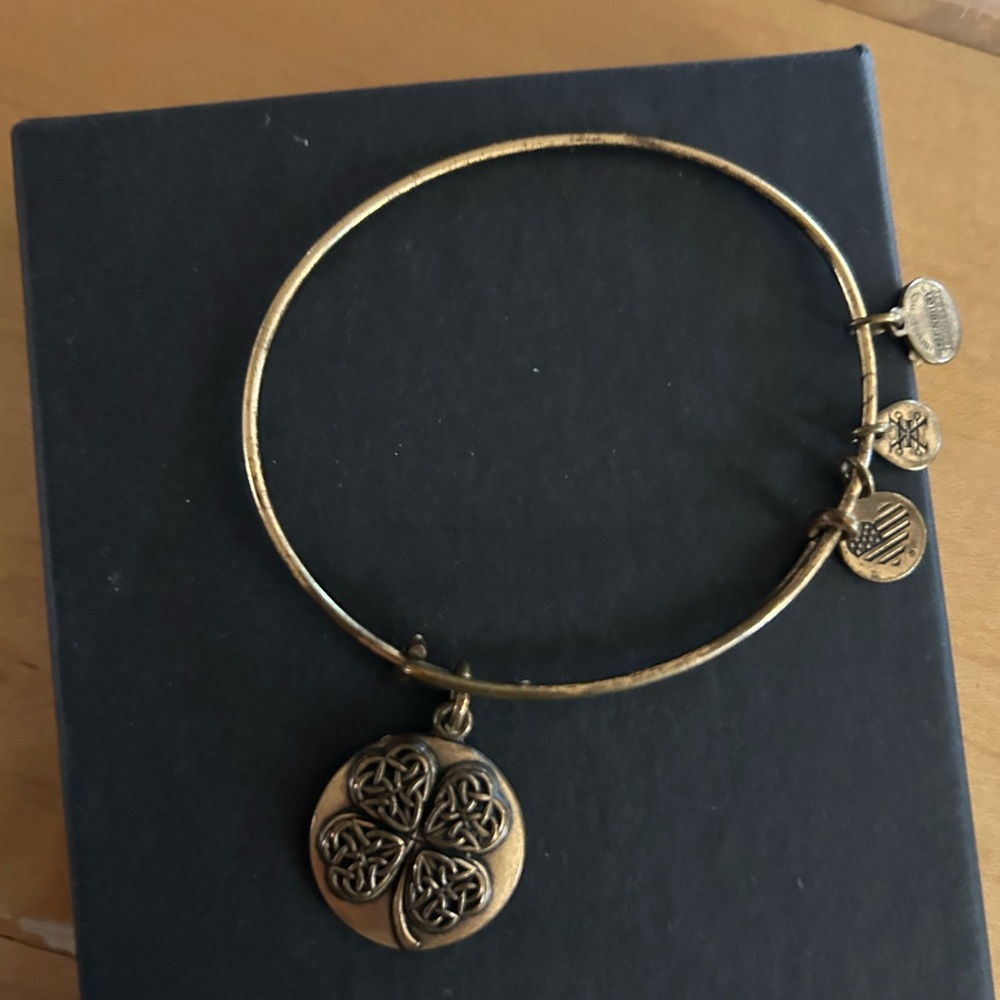 Alex and Ani Gold Celtic Charm Bracelet